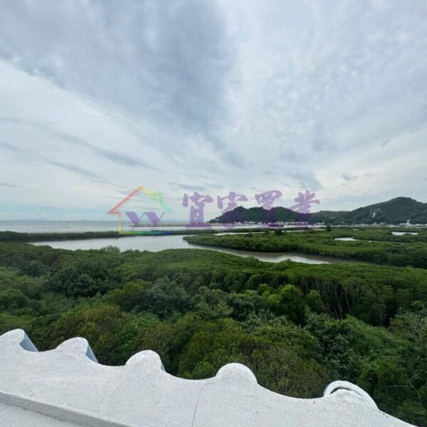 離島 大嶼山南涌●開揚全幢分層