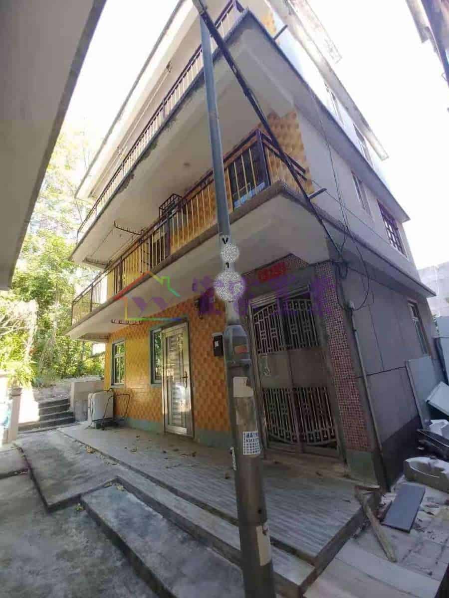 元朗 洲頭村●小全幢