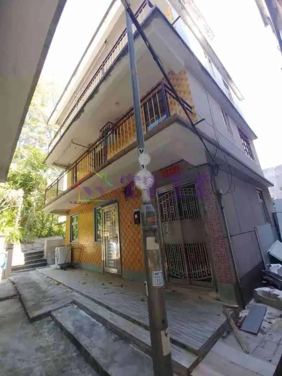 元朗 洲頭村●小全幢