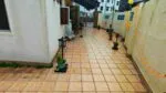 WhatsApp Image 2026 06 13 at 18.25.56 1