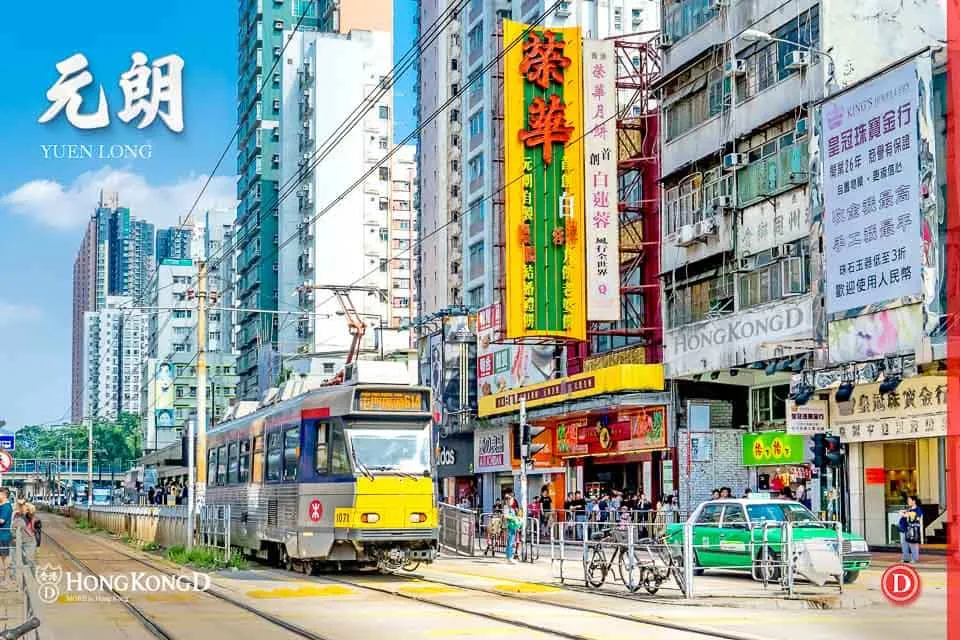 元朗西小學全攻略|73校網選校策略及名牌屋苑一覽 3 Yuen Long Cover A1
