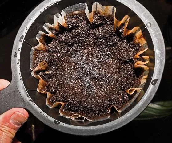村屋裝修一定要做好春夏防潮 | 5大家居防潮方法 6 coffee waste