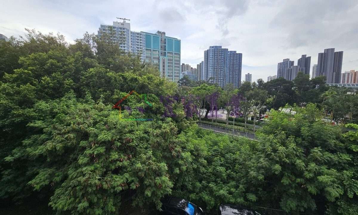 d6d18d59352d38ad19008fa33fdf5b1c.jpeg