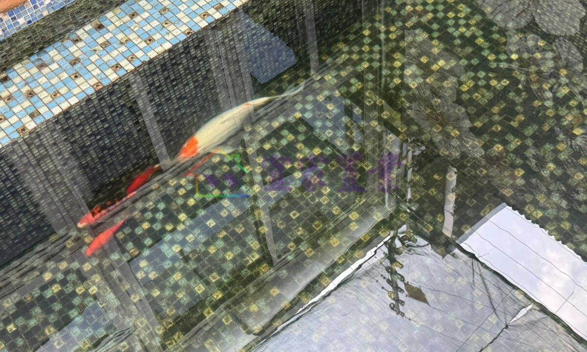ec8f023387a1b04f536d8758e64d3203.jpeg