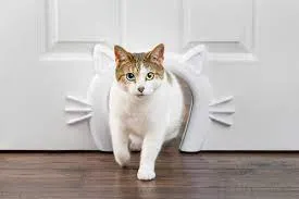 寵物主人必學,貓狗安全又開心的村屋室內設計推薦 9 pet door3