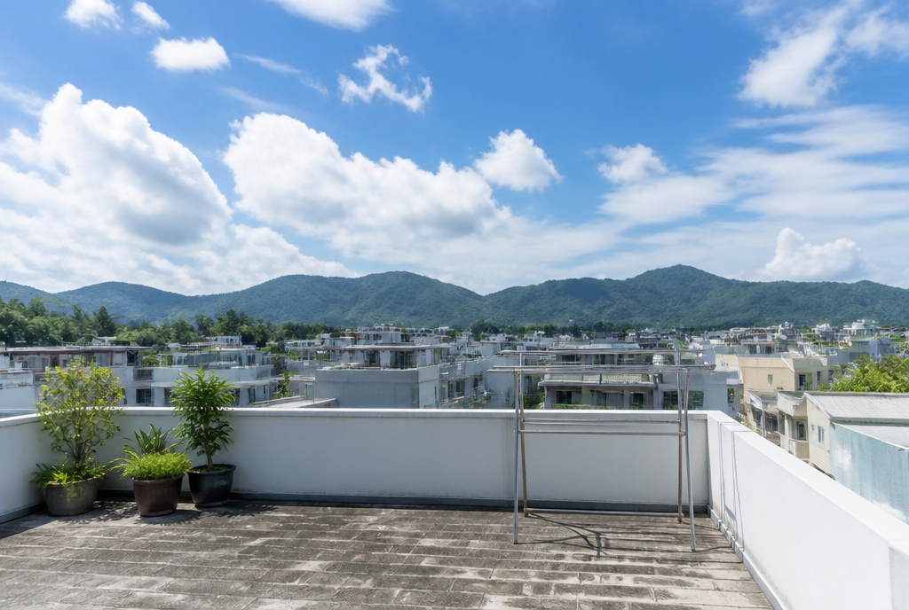 小全幢村屋值得買嗎?面積、業權、按揭及睇樓重點 2 小全幢村屋天台概念圖
