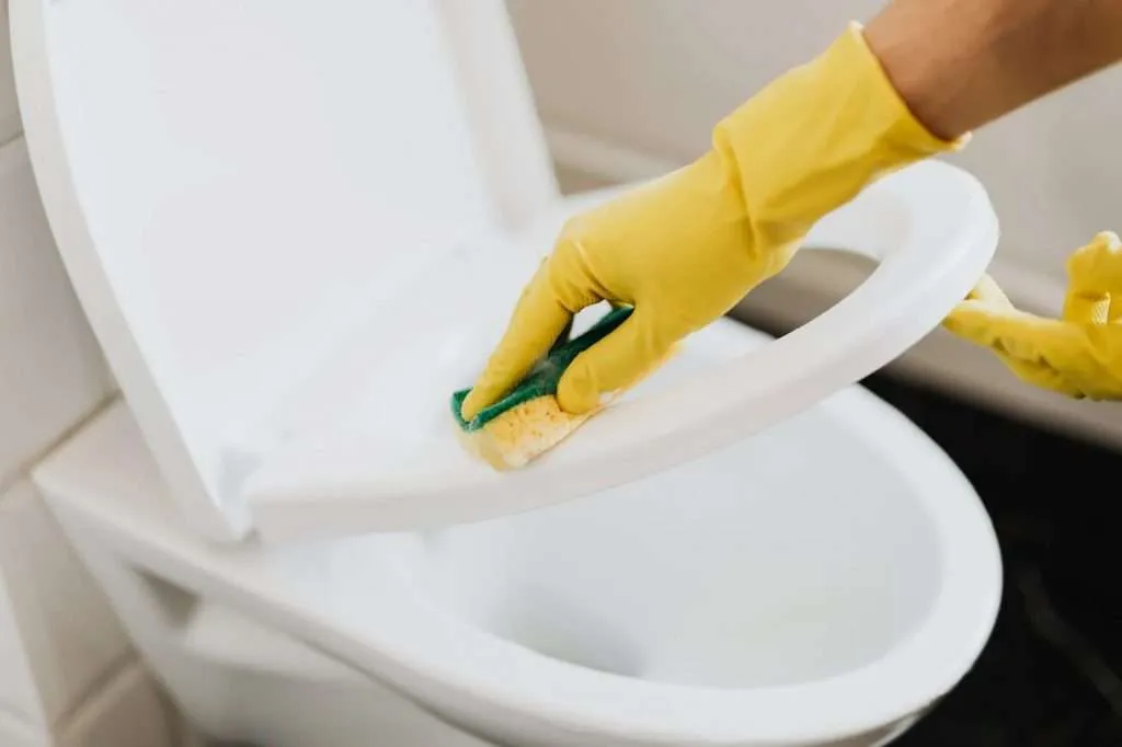 年廿八洗邋遢|2024新年大掃除6大貼士! 5 toilet